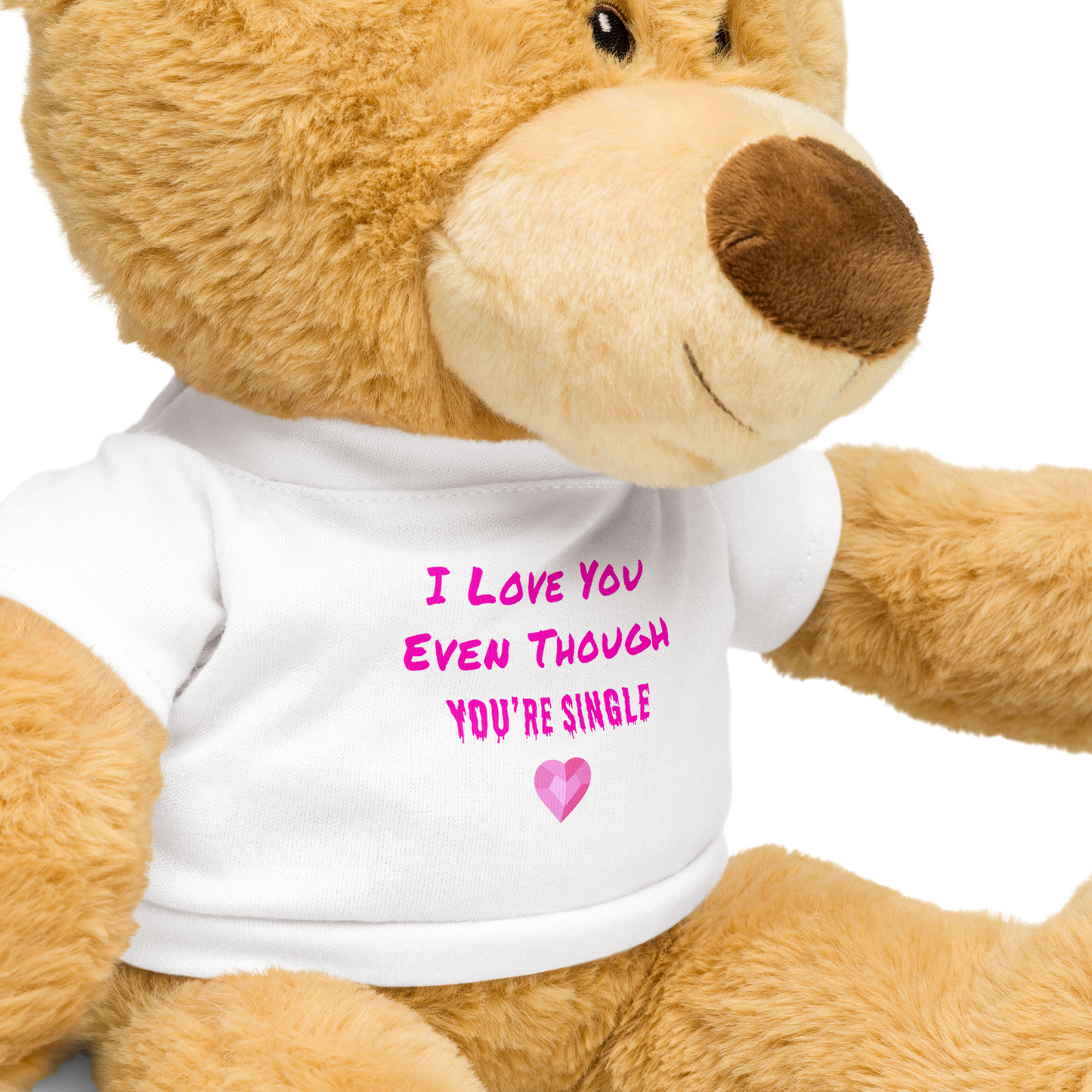 "I Love You Even Though You're Single" Teddy Bear