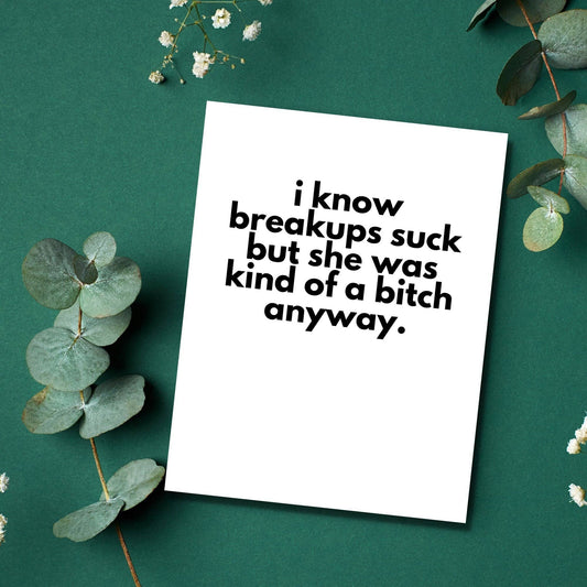 I know Breakups Suck But She Was Kind of a Bitch Anyway - Funny Breakup Card